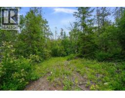 Ph 3 Tatlow Road Se Lot# 4, Salmon Arm, BC V1E2P8 Photo 6