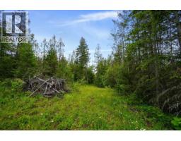 Ph 3 Tatlow Road Se Lot# 4, Salmon Arm, BC V1E2P8 Photo 9