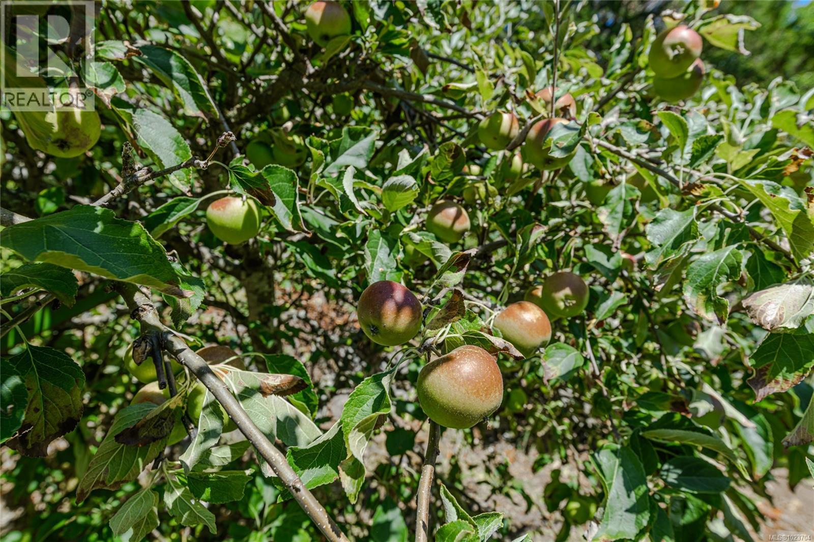 1252 Isabella Point Rd, Salt Spring