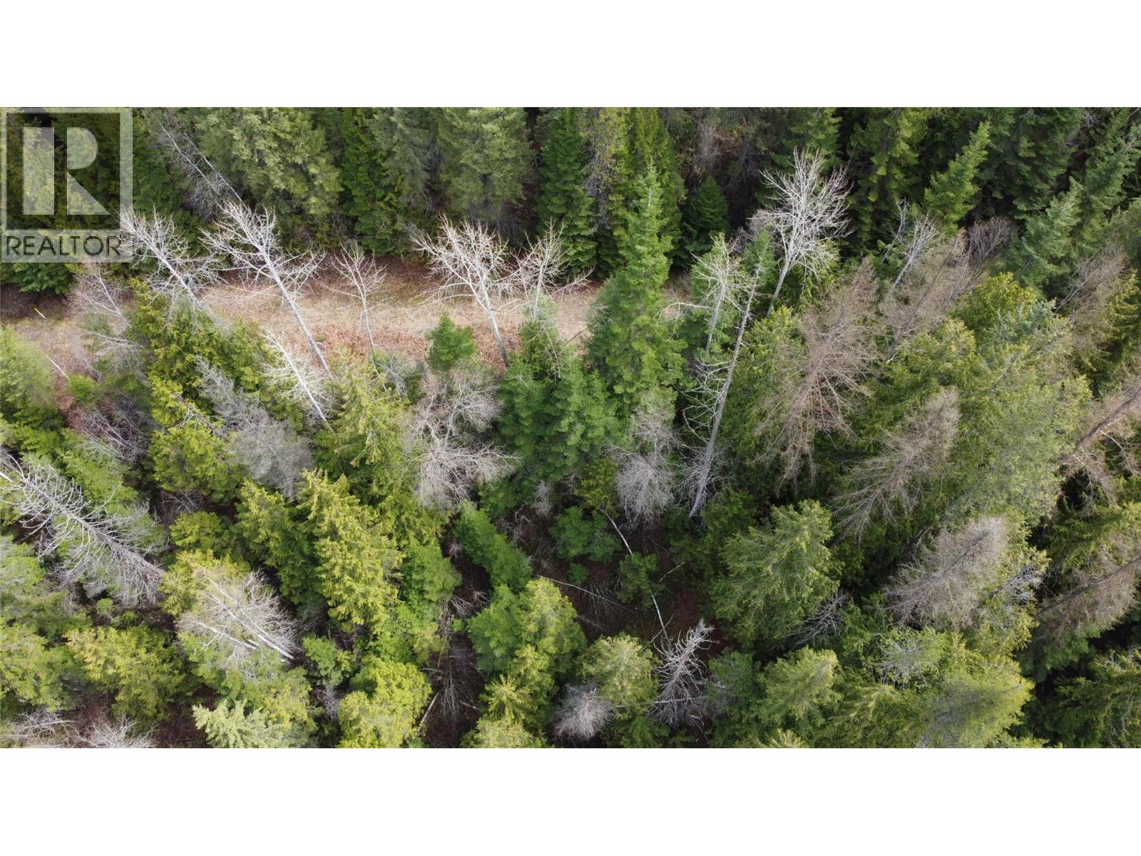 2300 OLD SALMO ROAD - 85