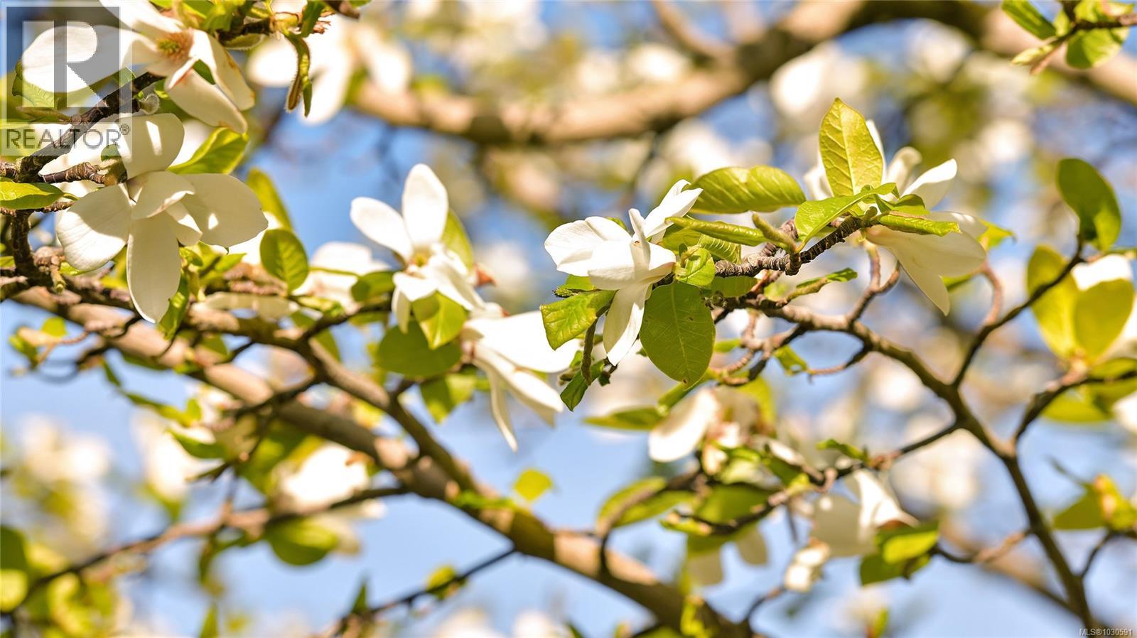 1903 751 Fairfield Rd, Victoria