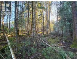 Block C Lockyer Road, Roberts Creek, BC V0N2W1 Photo 8