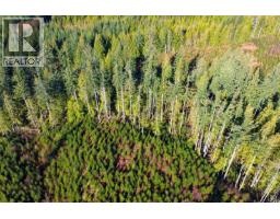 Lot 1 Lockyer Road, Roberts Creek, BC V0N2W1 Photo 16