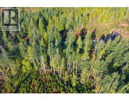 Lot 1 Lockyer Road, Roberts Creek, BC V0N2W1 Photo 15