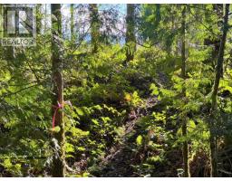 Lot 3 Lockyer Road, Roberts Creek, BC V0N2W1 Photo 10