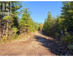 Lot 3 Lockyer Road, Roberts Creek, BC V0N2W1 Photo 18