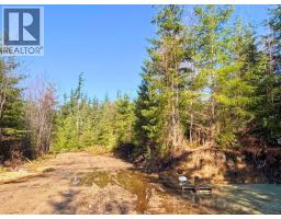 Lot 3 Lockyer Road, Roberts Creek, BC V0N2W1 Photo 14