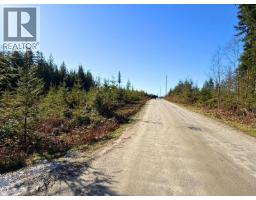 Lot 3 Lockyer Road, Roberts Creek, BC V0N2W1 Photo 6
