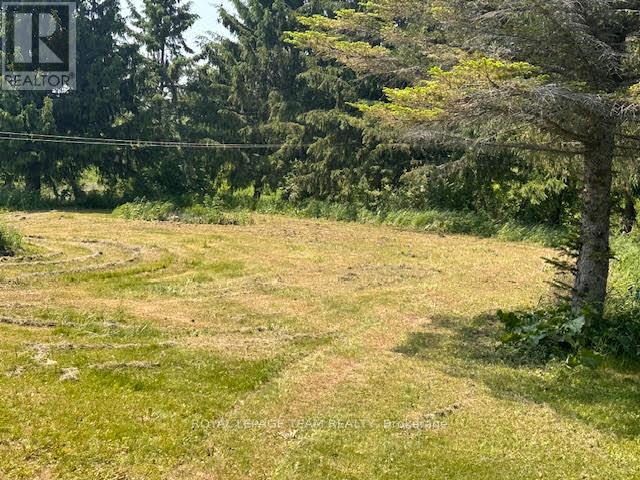 5296 PANMURE ROAD - 7