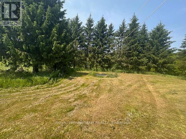 5296 PANMURE ROAD - 8