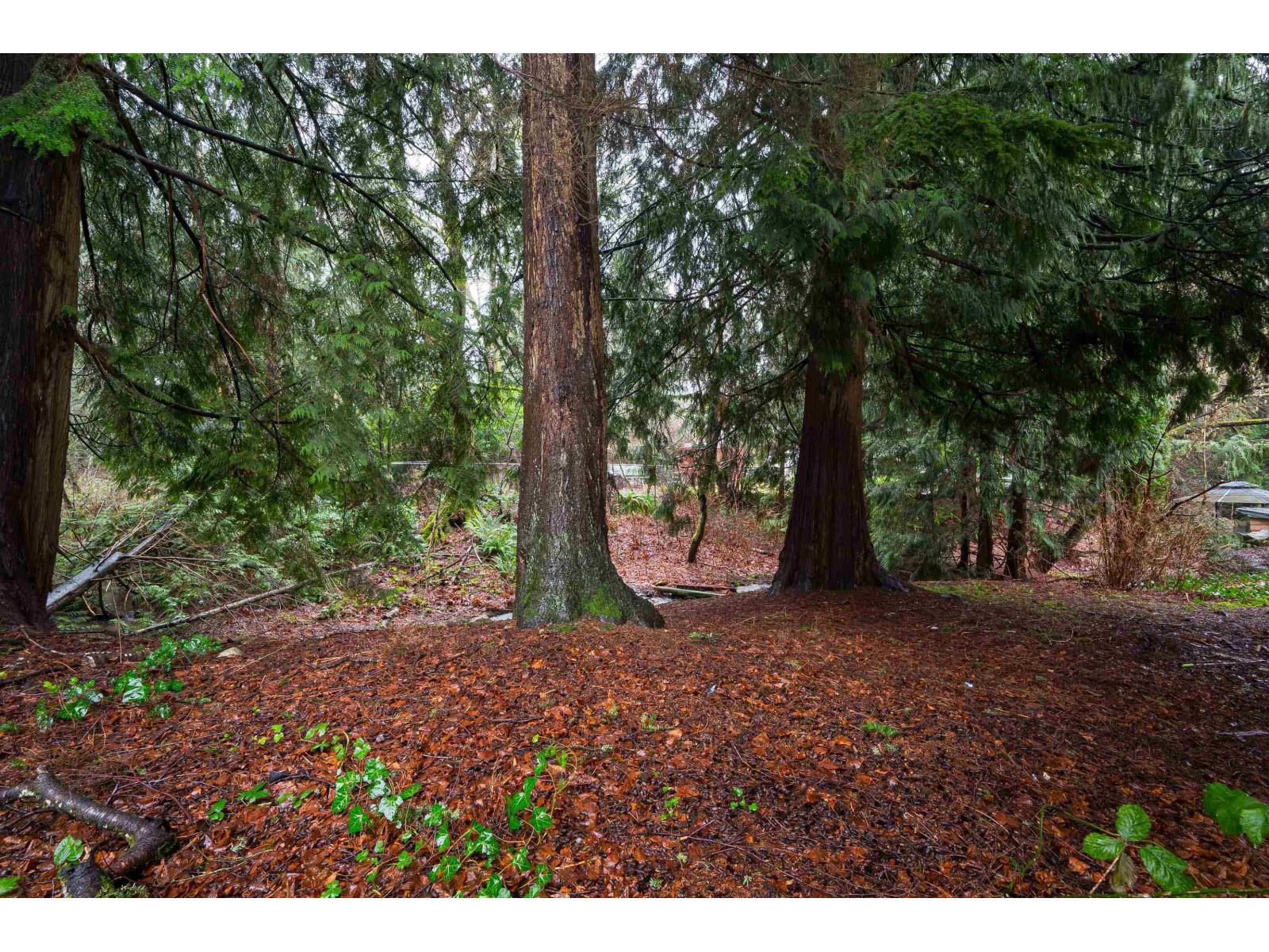 32472 GREBE CRESCENT, Mission