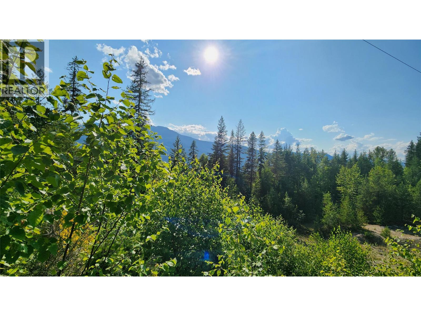 Lot 19 6 Highway, Nakusp