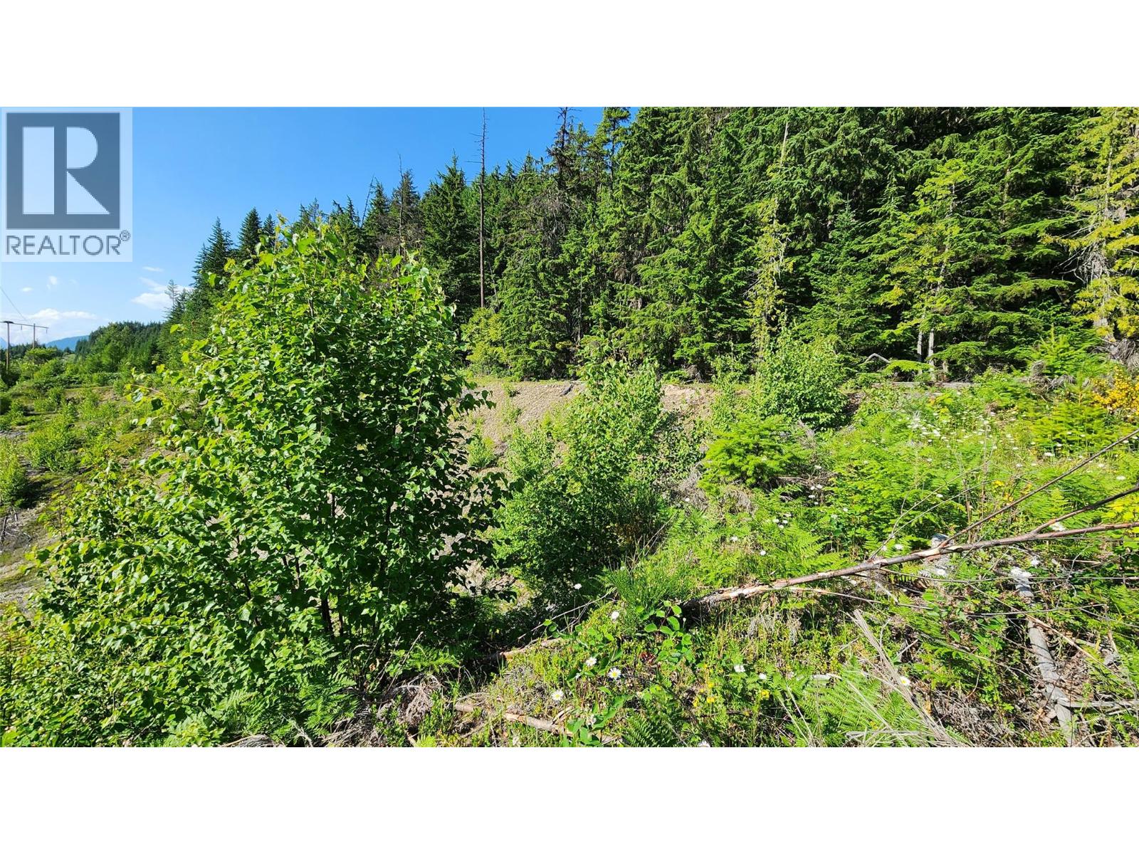 Lot 19 6 Highway - photo 2