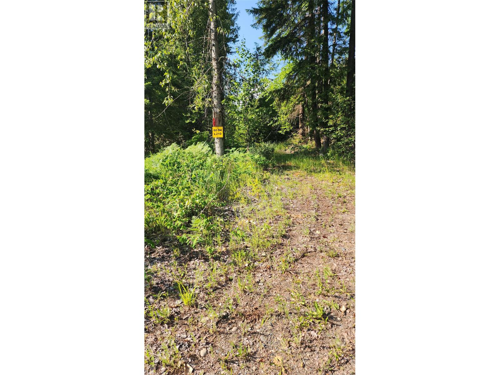 Lot 19 6 Highway, Nakusp