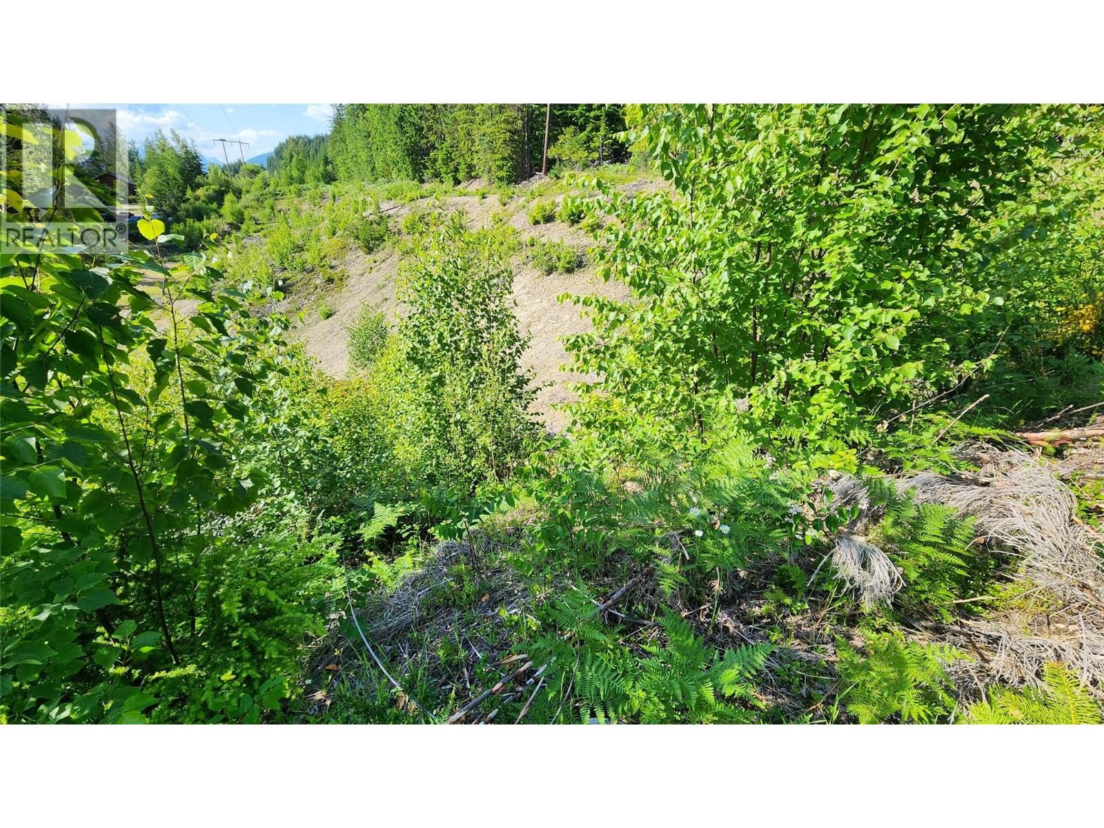 Lot 19 6 Highway, Nakusp