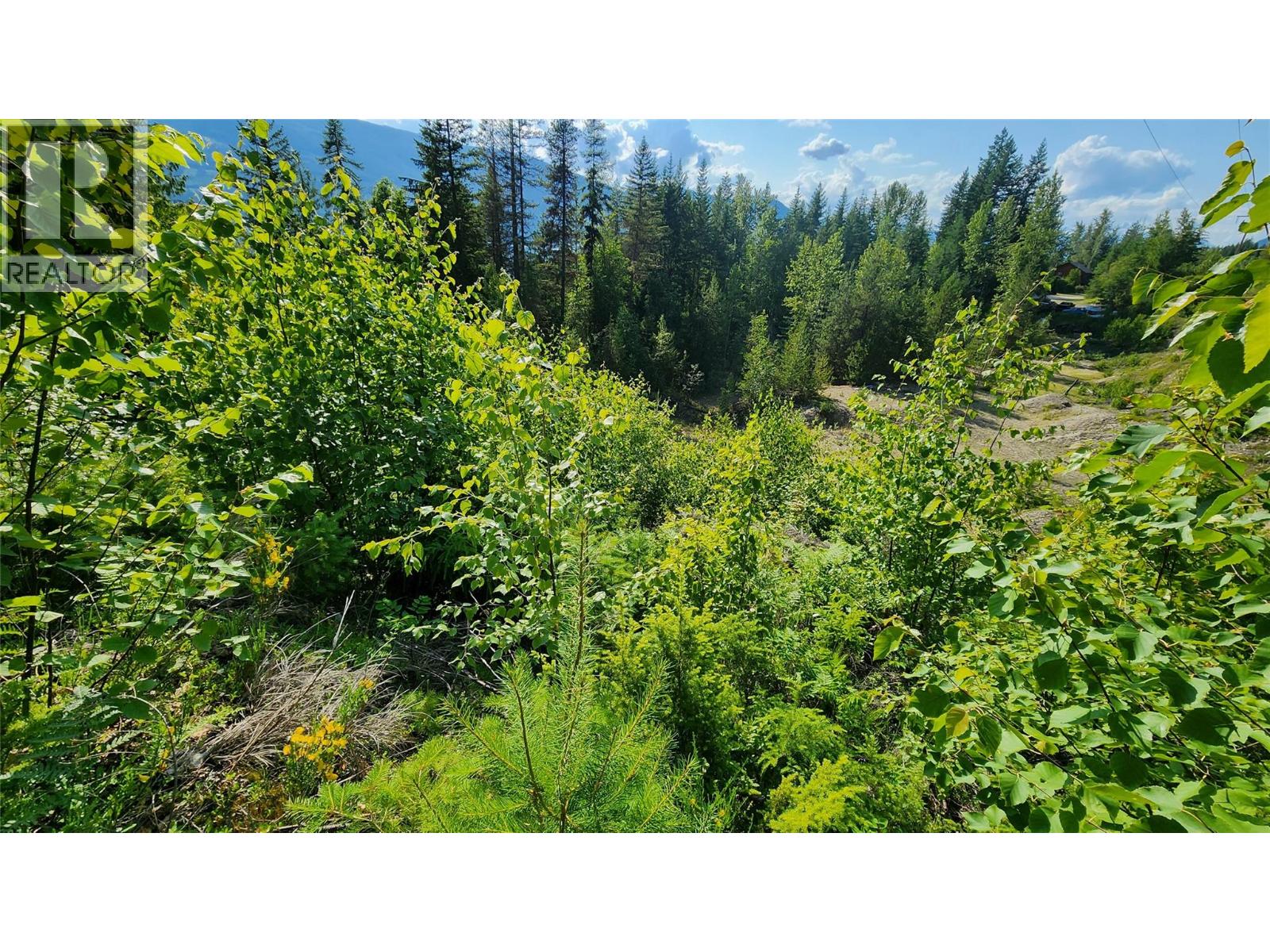 Lot 19 6 Highway, Nakusp