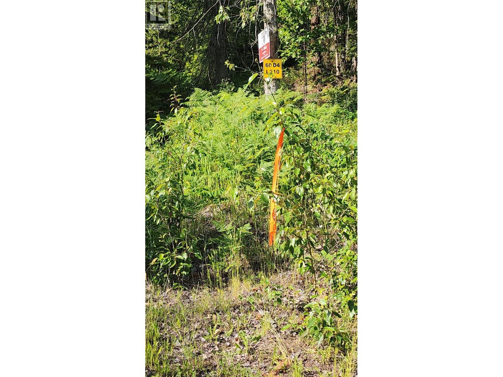 Lot 19 6 Highway, Nakusp