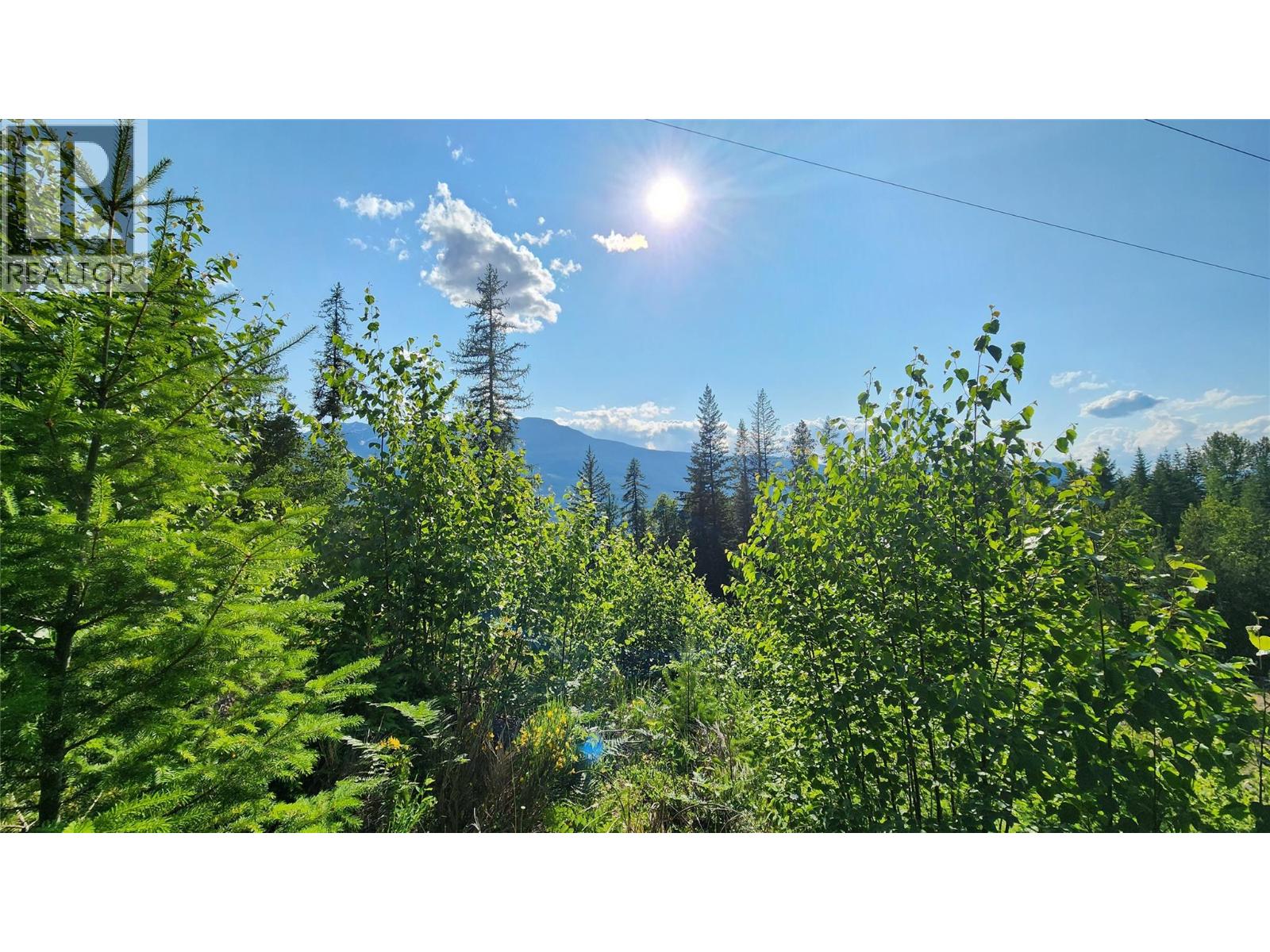 Lot 19 6 Highway, Nakusp