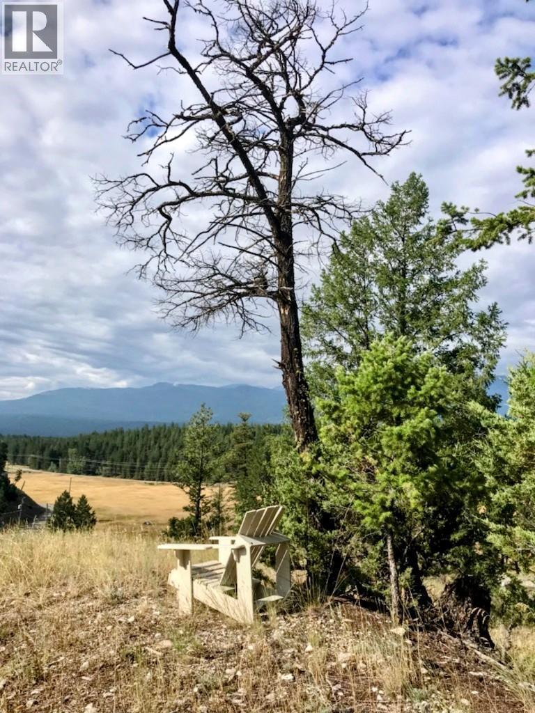 2400 KOOTENAY RD NO 3 Road Lot# 2, Windermere