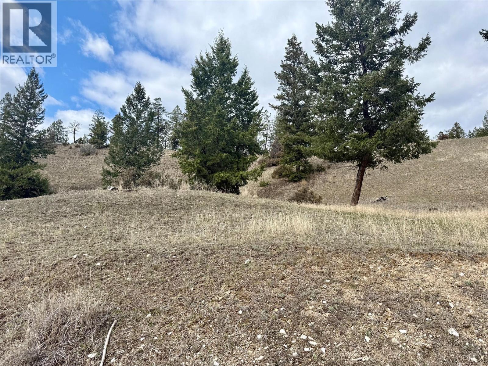 2400 KOOTENAY RD NO 3 Road Lot# 2, Windermere