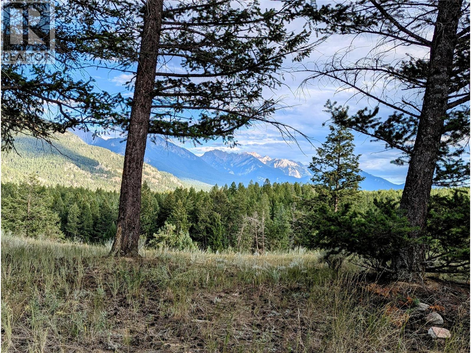 2400 KOOTENAY RD NO 3 Road Lot# 2, Windermere