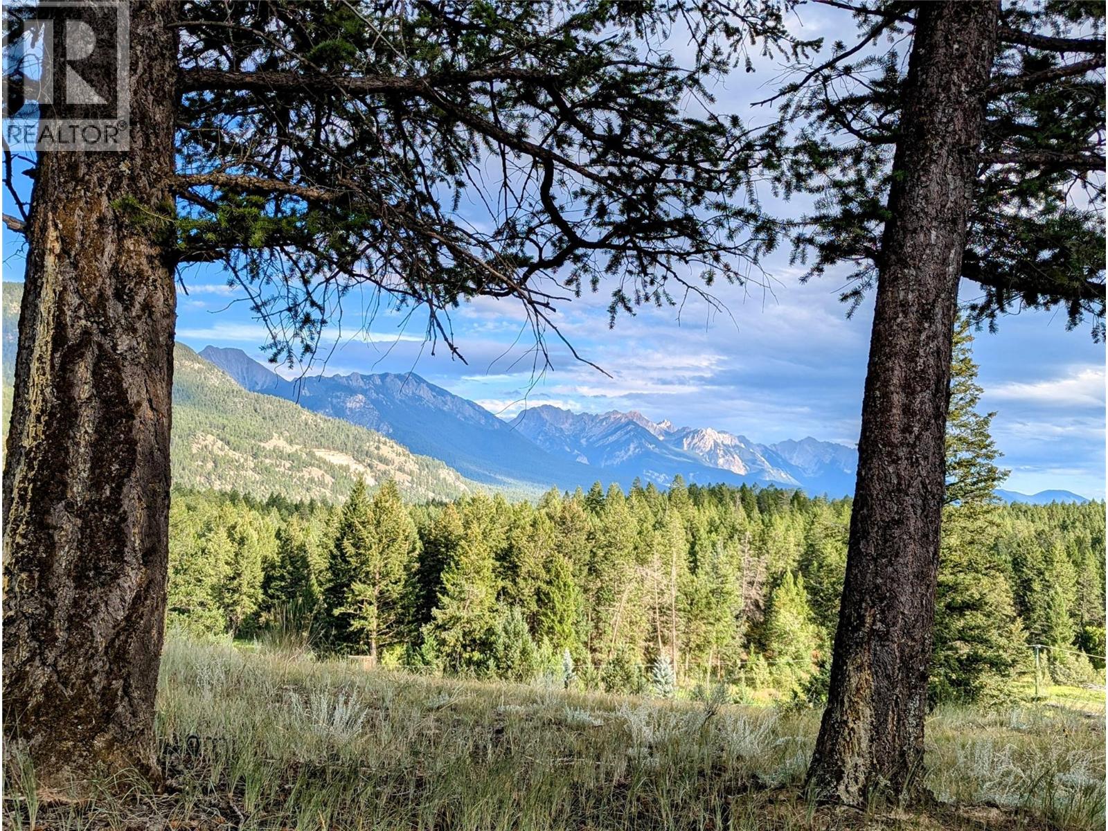 2400 KOOTENAY RD NO 3 Road Lot# 2, Windermere