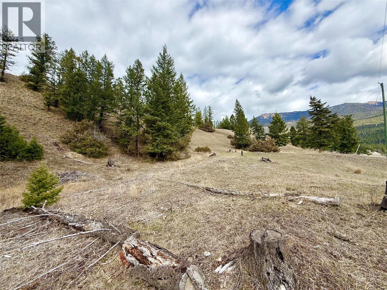 2400 KOOTENAY RD NO 3 Road Lot# 2, Windermere