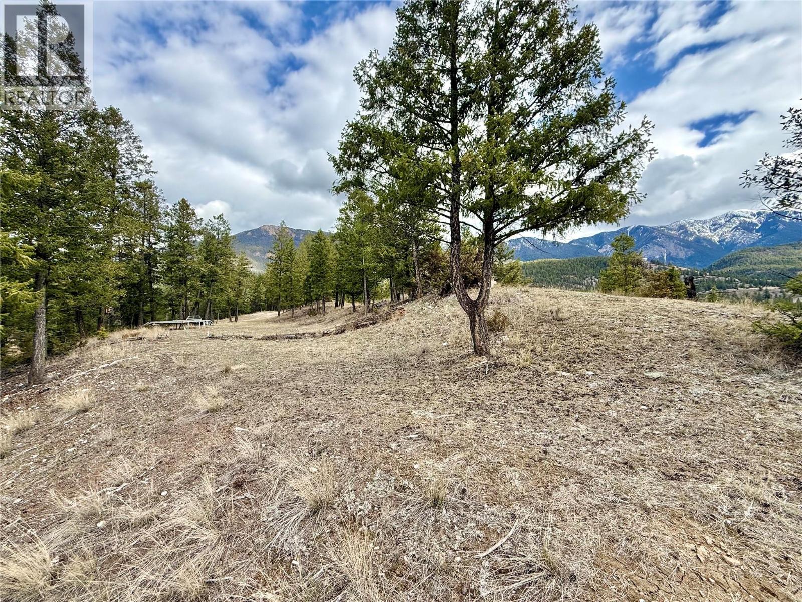 2400 KOOTENAY RD NO 3 Road Lot# 2, Windermere