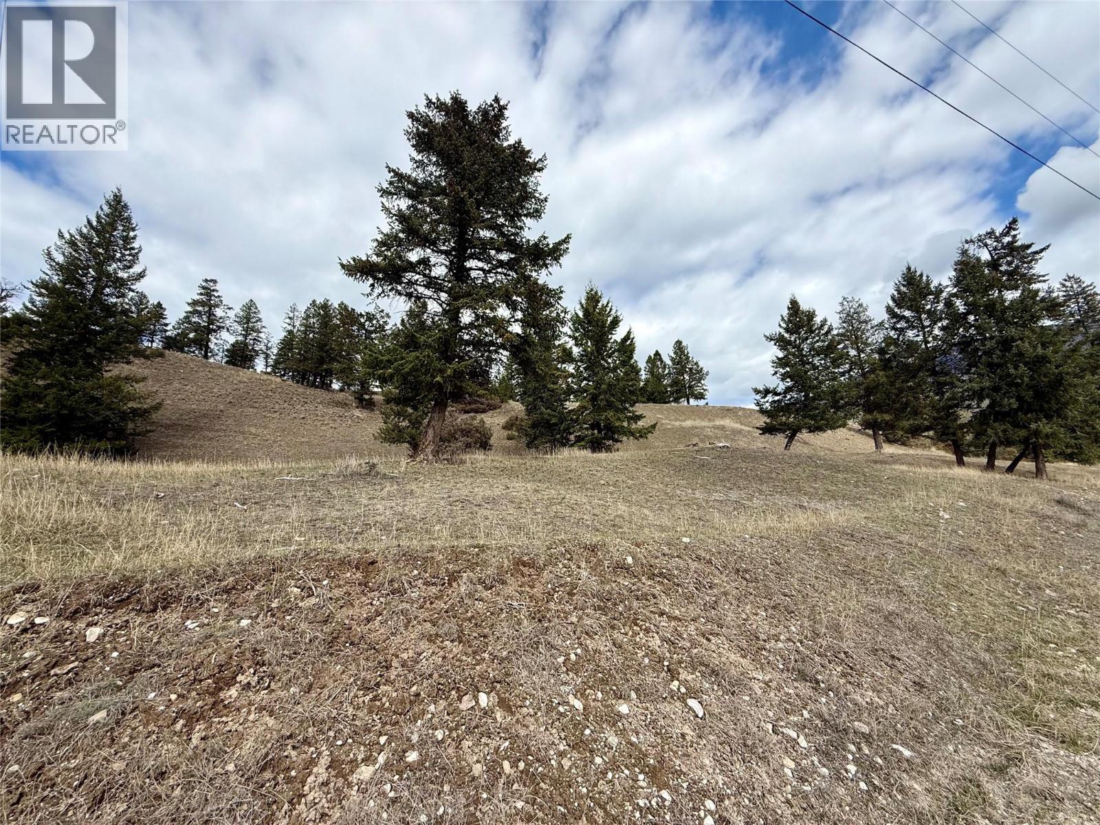 2400 KOOTENAY RD NO 3 Road Lot# 2, Windermere
