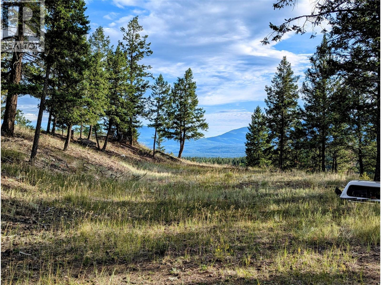 2400 KOOTENAY RD NO 3 Road Lot# 2, Windermere