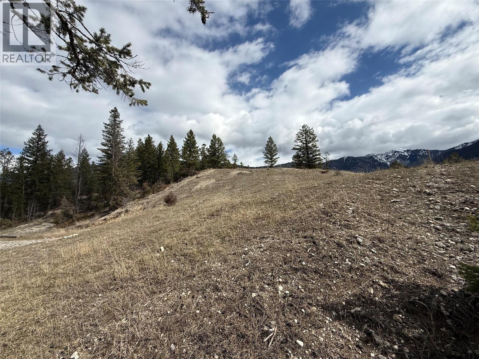 2400 KOOTENAY RD NO 3 Road Lot# 2, Windermere