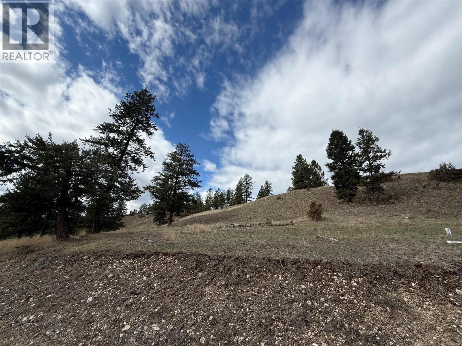 2400 KOOTENAY RD NO 3 Road Lot# 2, Windermere