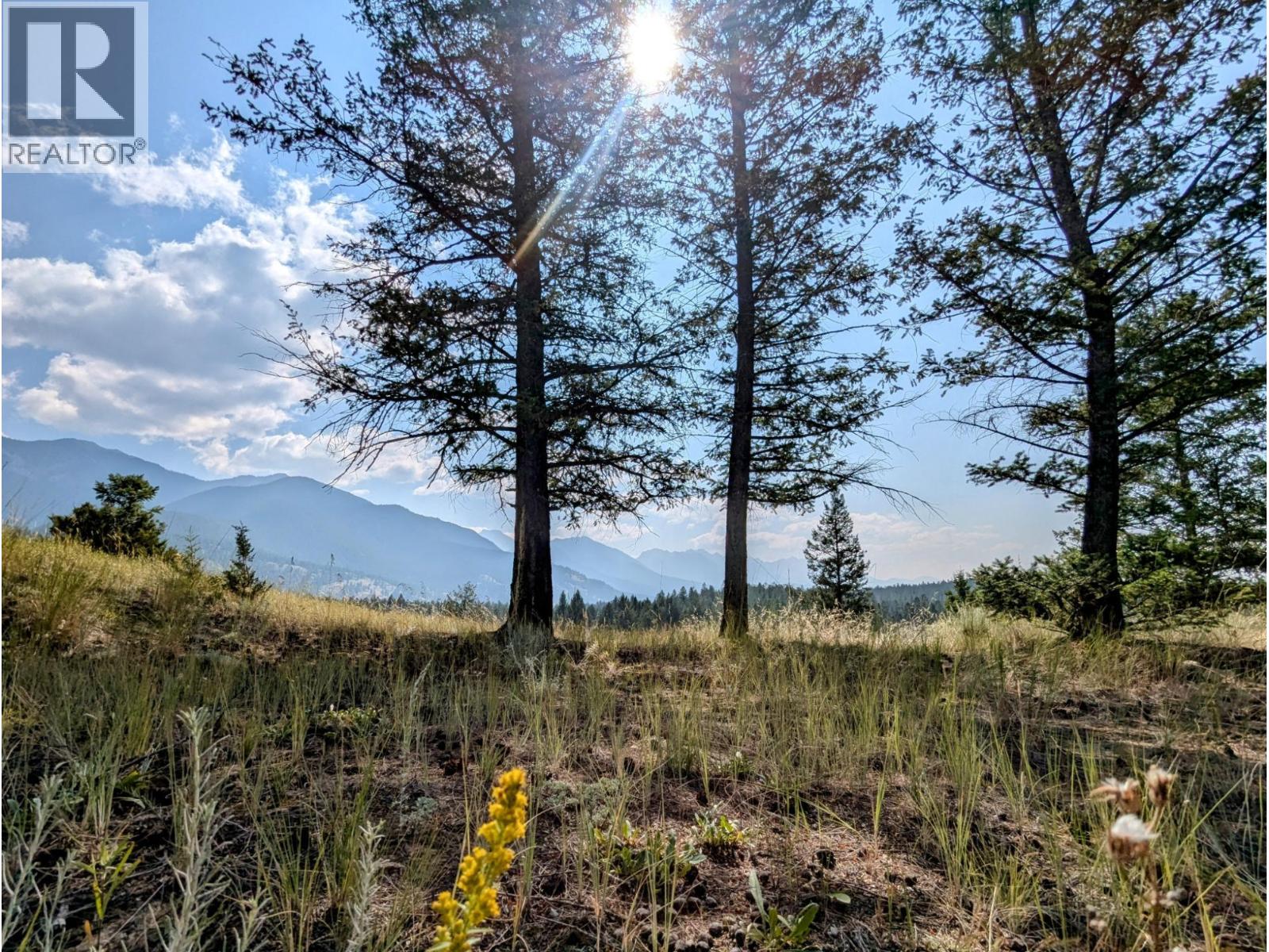 2400 KOOTENAY RD NO 3 Road Lot# 2, Windermere