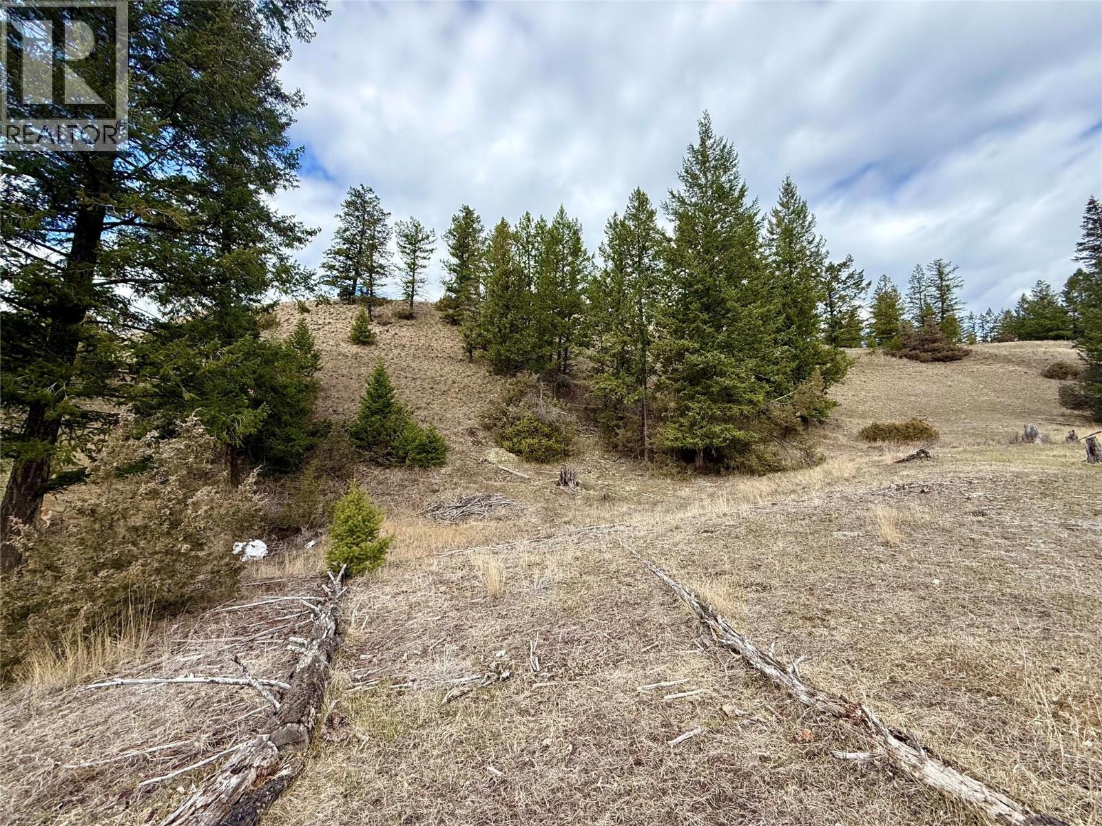 2400 KOOTENAY RD NO 3 Road Lot# 2, Windermere