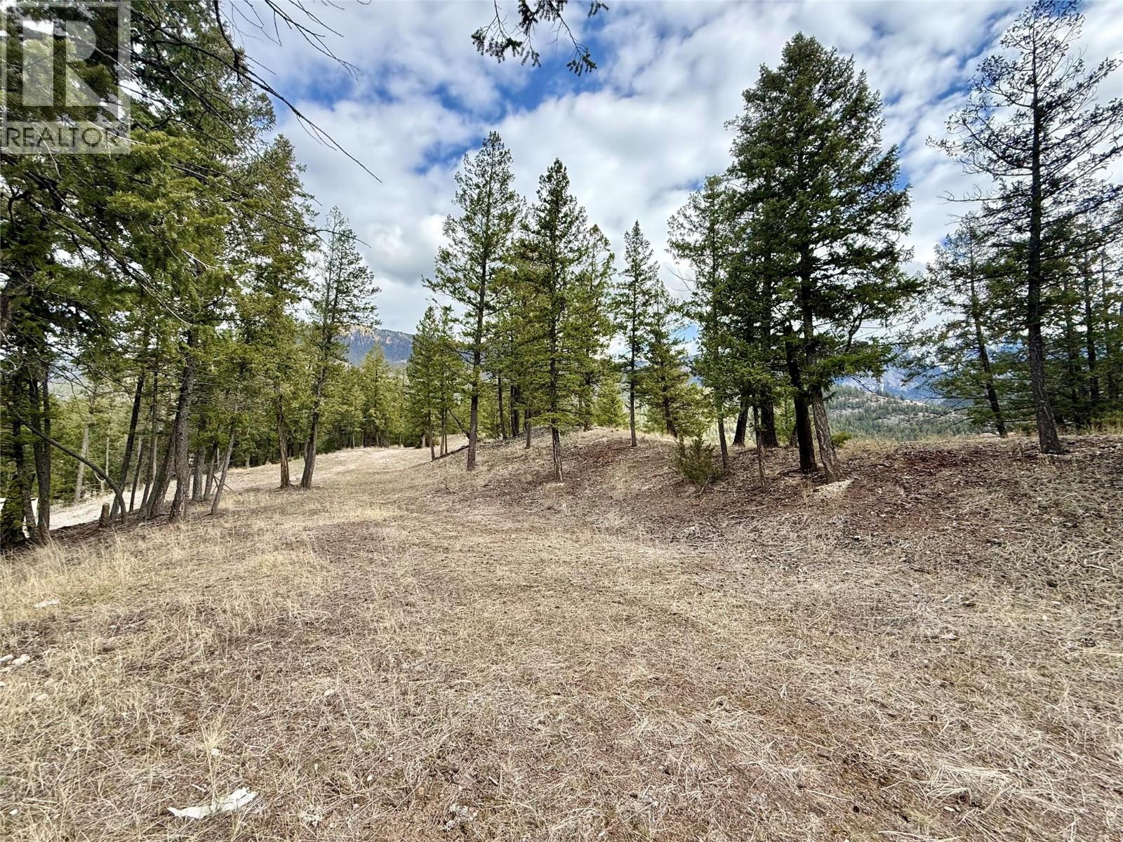 2400 KOOTENAY RD NO 3 Road Lot# 2, Windermere