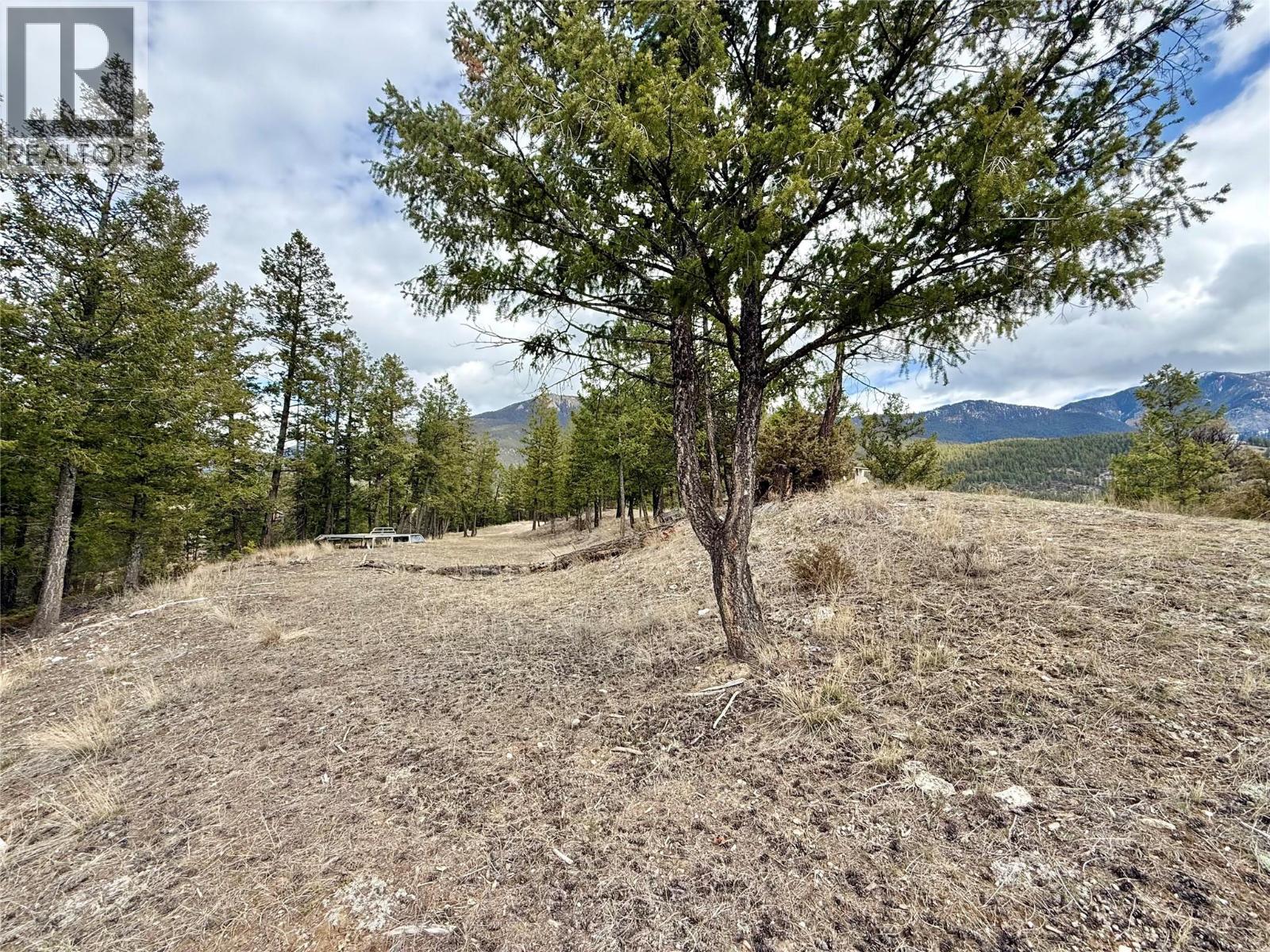 2400 KOOTENAY RD NO 3 Road Lot# 2, Windermere