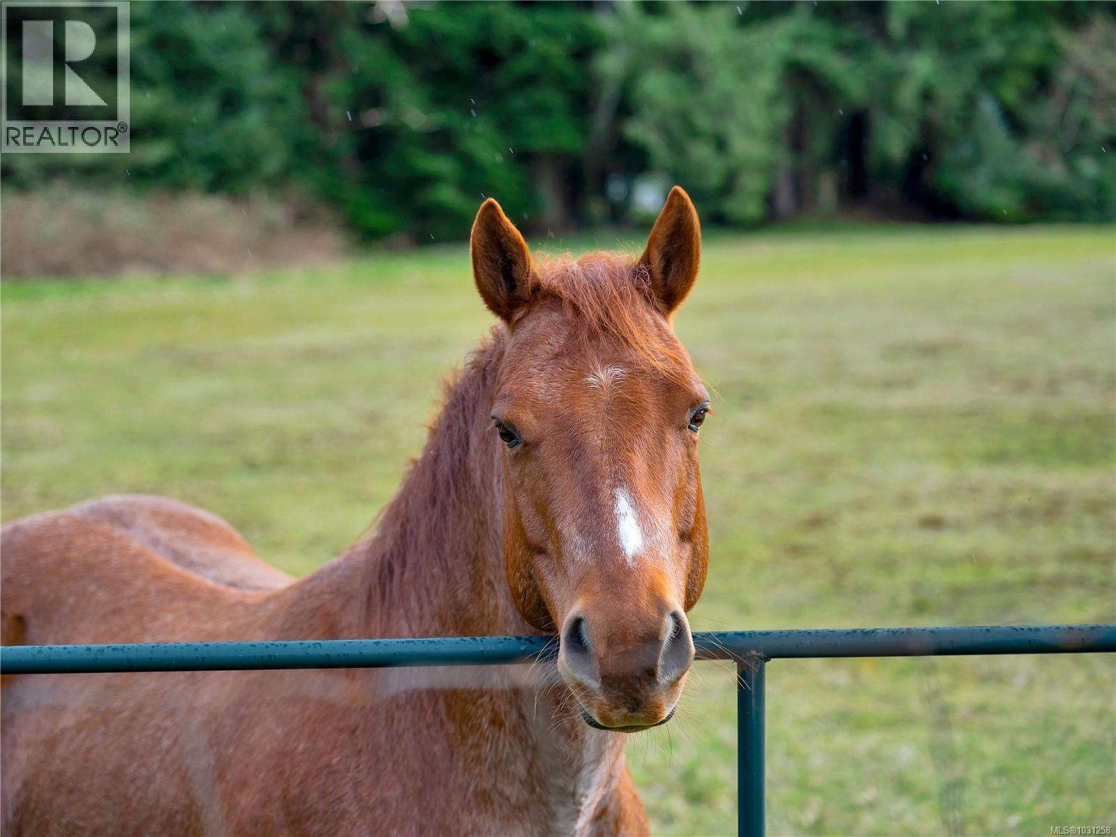 5 48 McPhedran Rd S, Campbell River