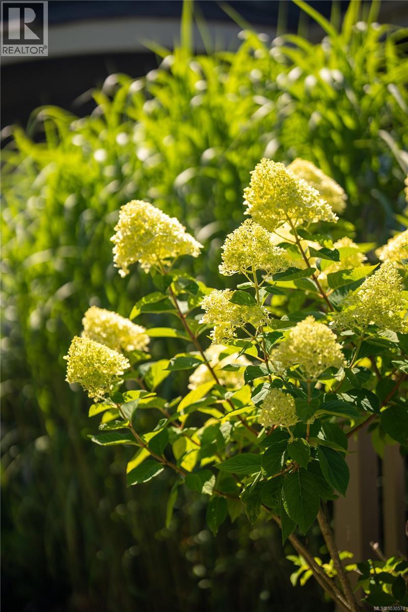 683 MOUNTJOY AVE - 63