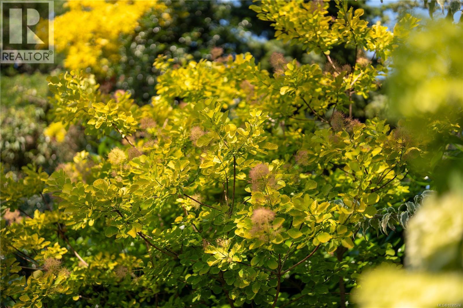 683 MOUNTJOY AVE - 66