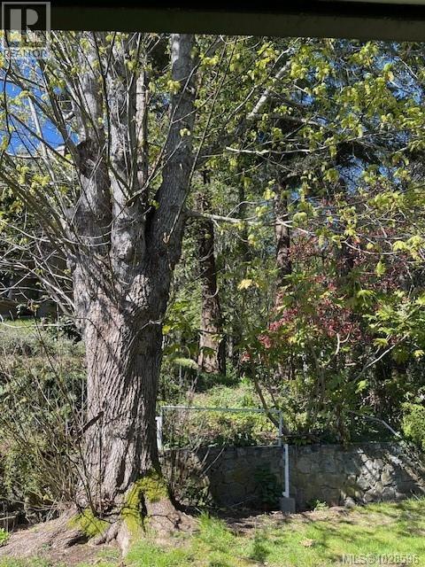 2559 BERMUDA PL - 25