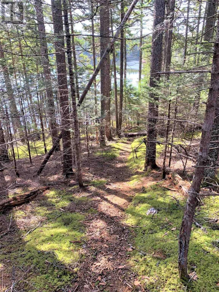 Property 7 of 10 of Lakelands Road