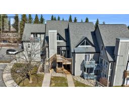 707 - 796468 Grey Road 19 Road, Blue Mountains, ON L9Y0N6 Photo 8