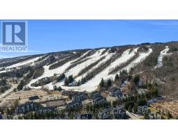 707 - 796468 Grey Road 19 Road, Blue Mountains, ON L9Y0N6 Photo 21