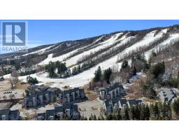707 - 796468 Grey Road 19 Road, Blue Mountains, ON L9Y0N6 Photo 20