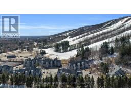 707 - 796468 Grey Road 19 Road, Blue Mountains, ON L9Y0N6 Photo 13