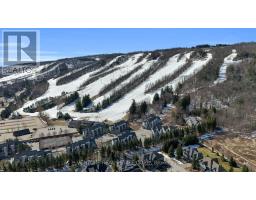 707 - 796468 Grey Road 19 Road, Blue Mountains, ON L9Y0N6 Photo 33