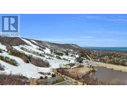 707 - 796468 Grey Road 19 Road, Blue Mountains, ON L9Y0N6 Photo 41