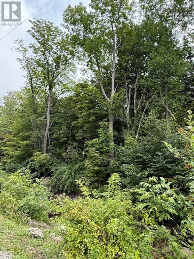 Property 2 of 7 of 1 Mill Street