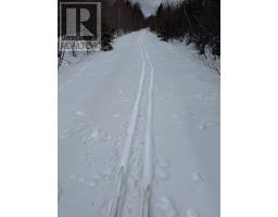 1 Barren Road, Seal Cove, NS B0E2K0 Photo 15