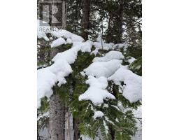 1 Barren Road, Seal Cove, NS B0E2K0 Photo 11
